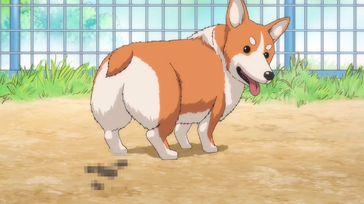 Oda Cinnamon Nobunaga