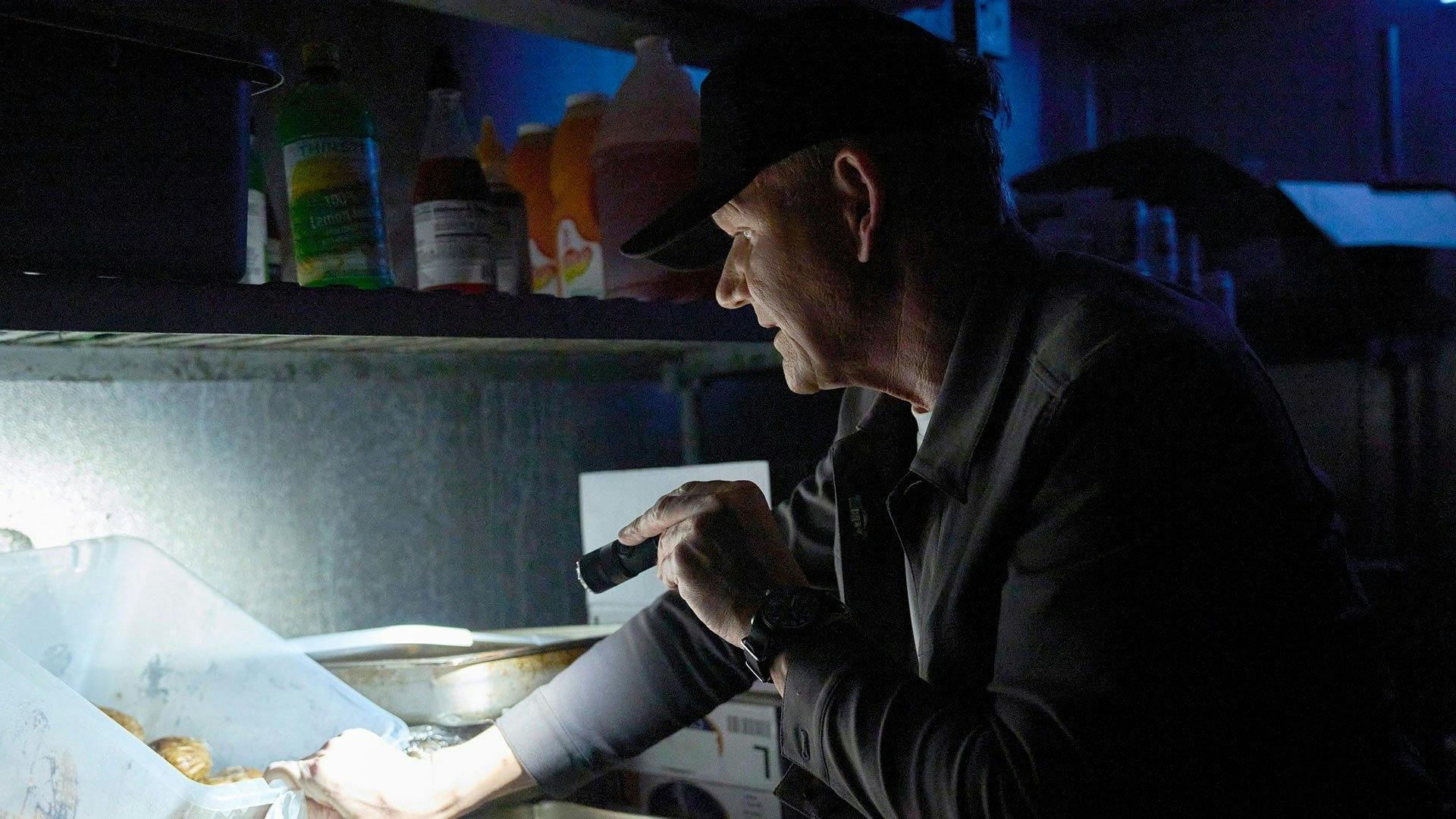 Gordon Ramsay: Serviço Secreto backdrop