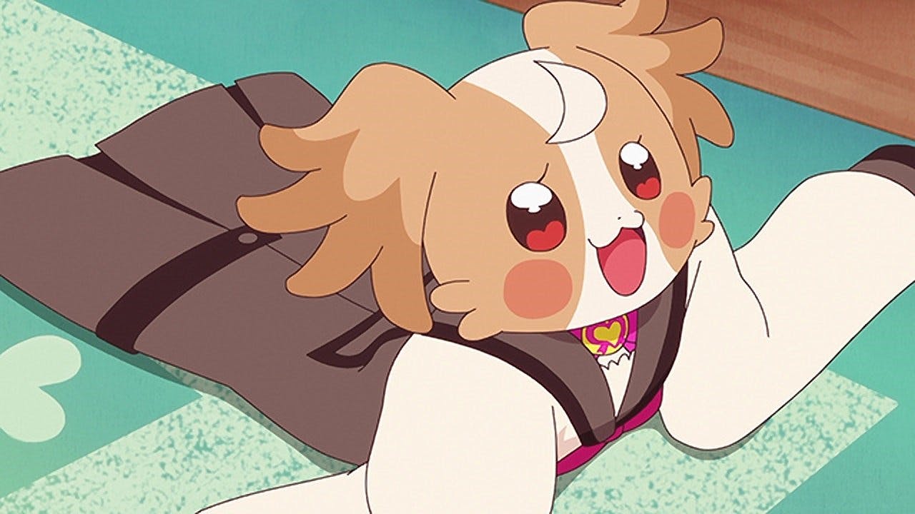 Wonderful Precure! - episódio 1x9