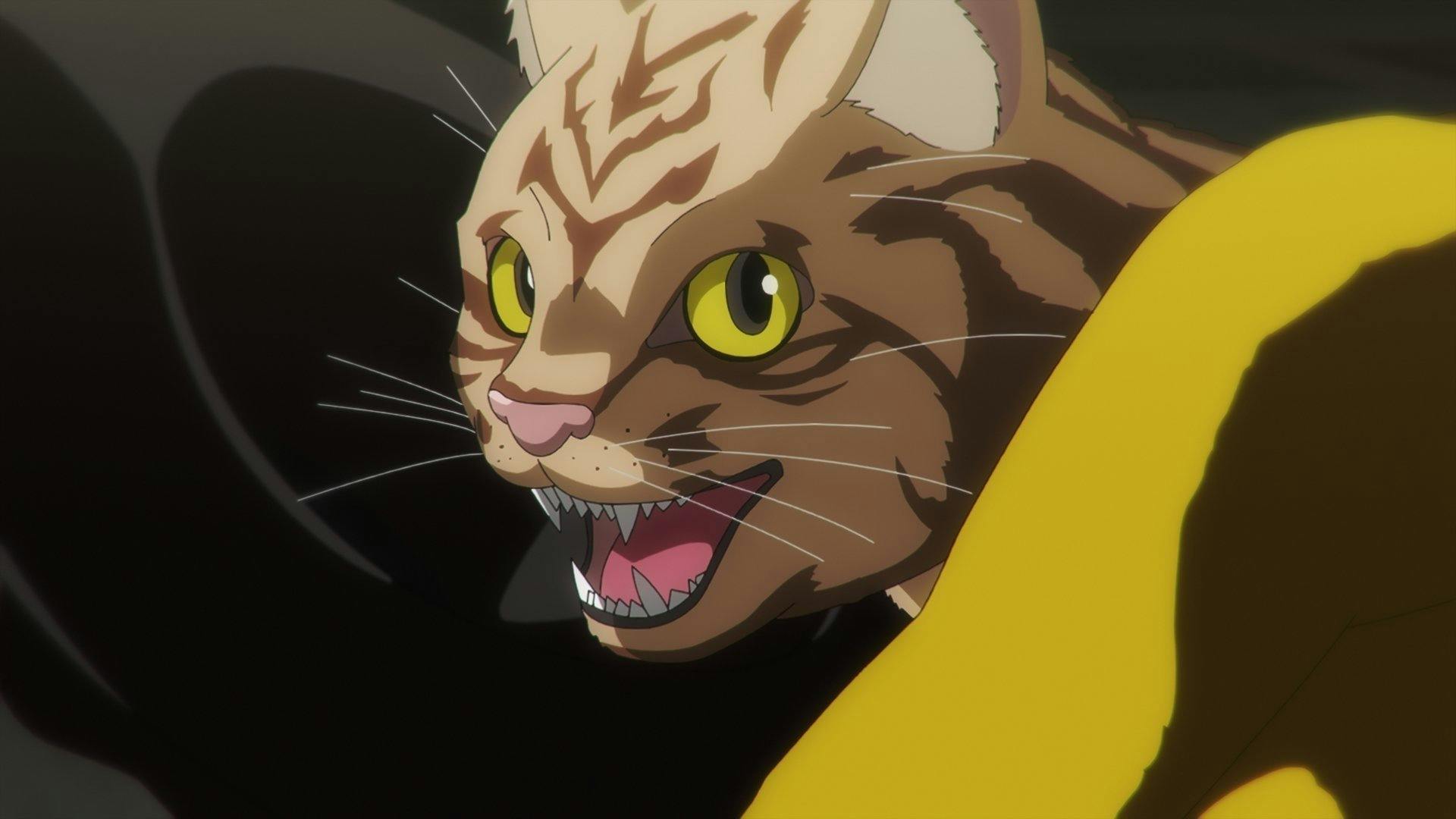 Nyaight of the Living Cat - episódio 1x1