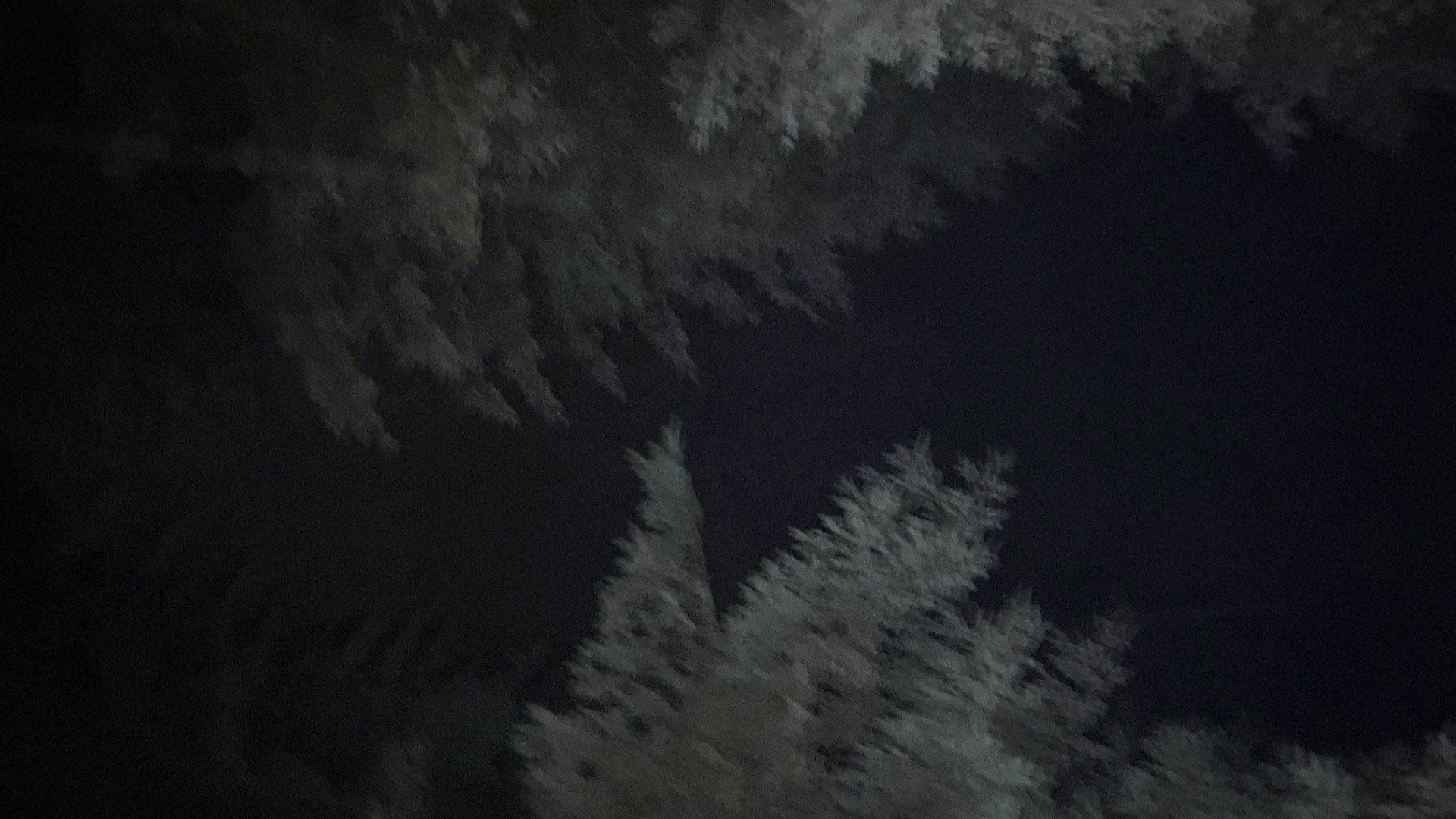 Last to Die backdrop