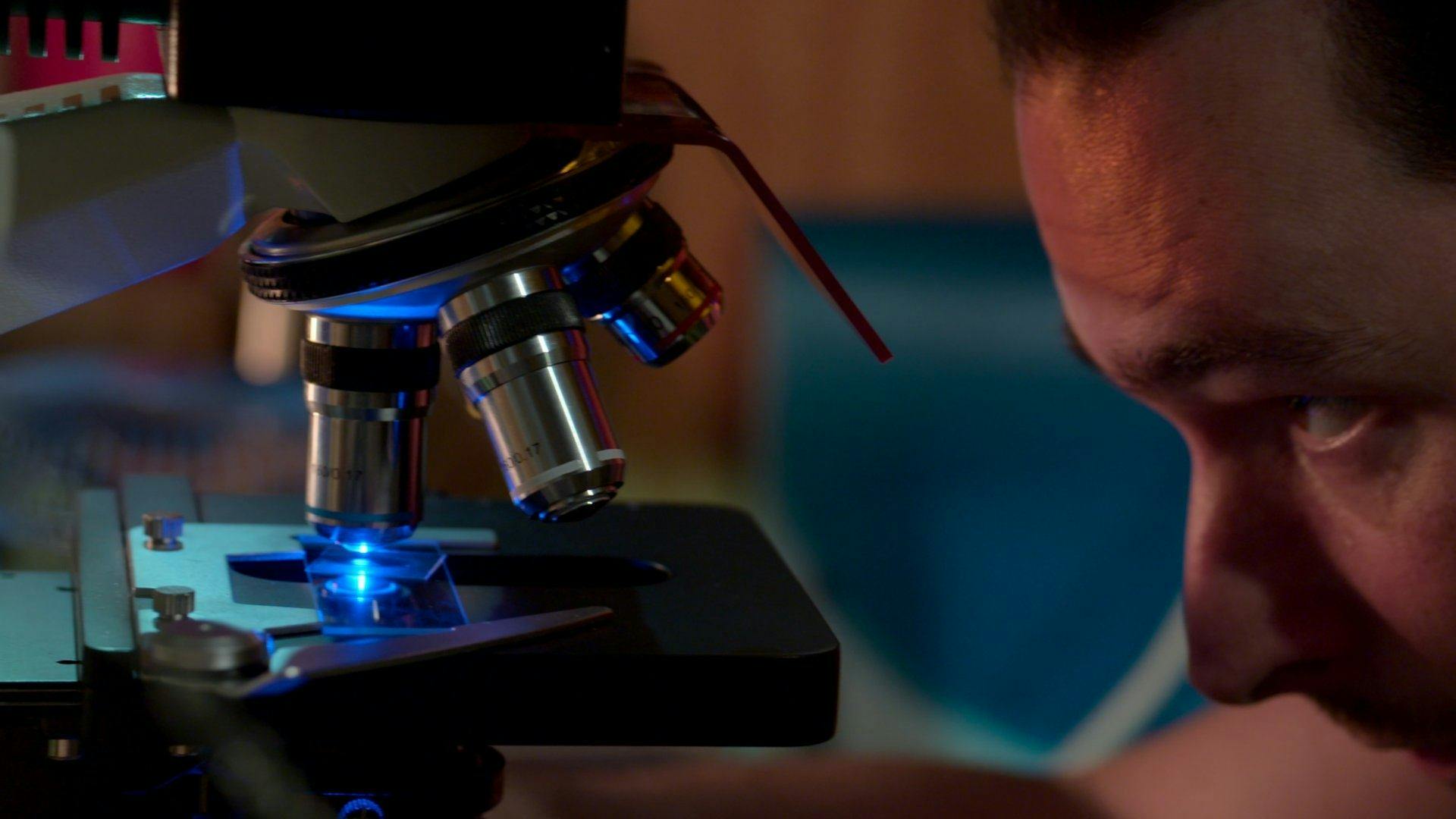 Seleção Artificial backdrop