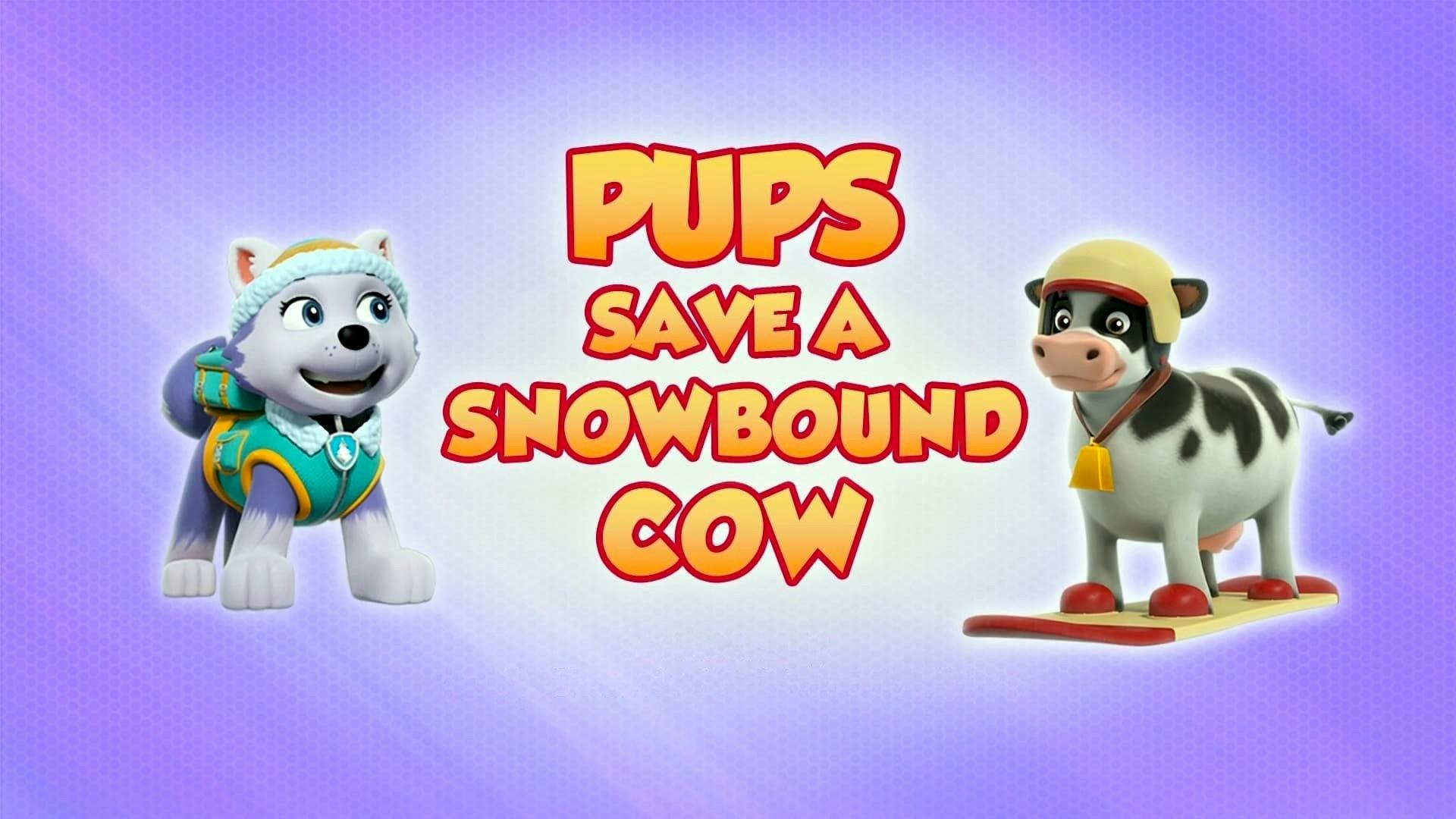 Os Filhotes Salvam a Vaca na Neve
