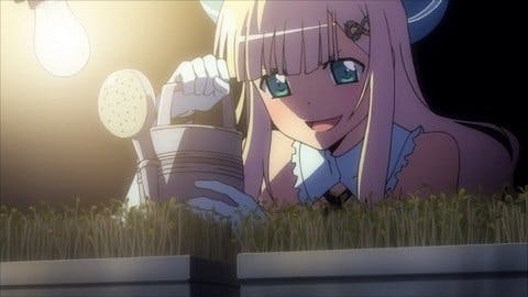 Senran Kagura