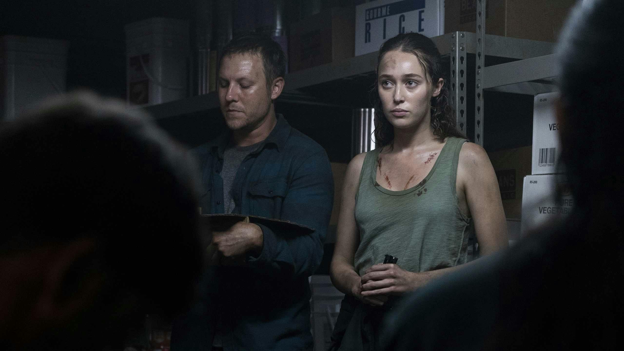 Fear the Walking Dead - episódio 3x13