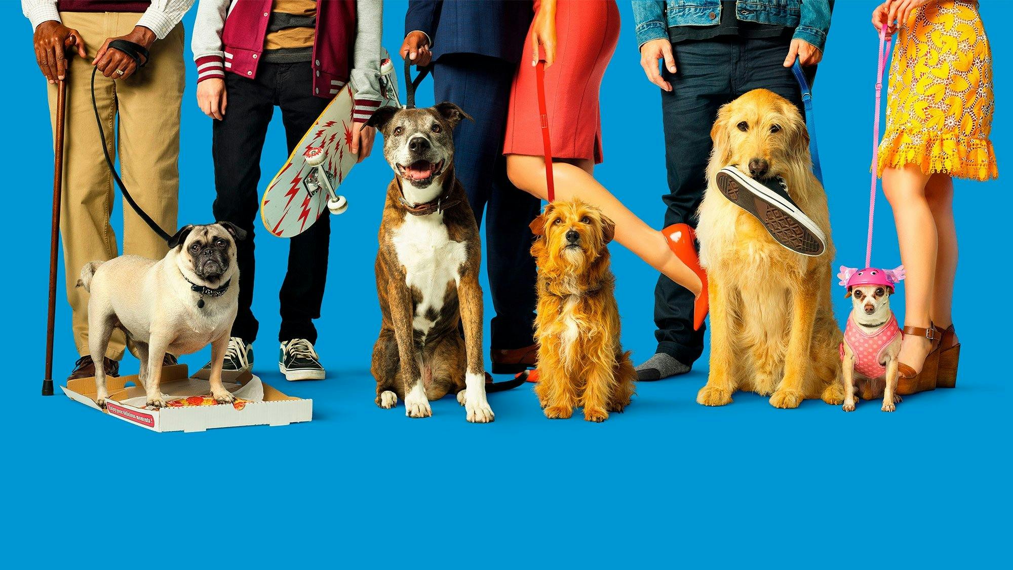 Nossa Vida com Cães backdrop