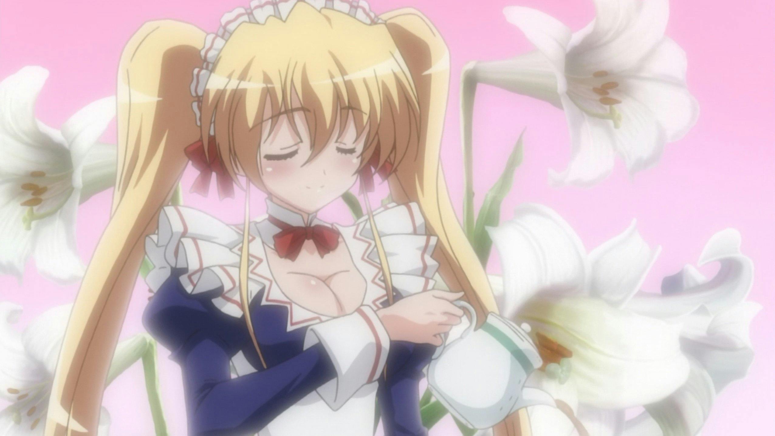 Omamori Himari
