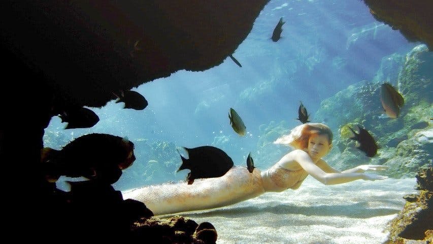 Mako Mermaids - episódio 1x3
