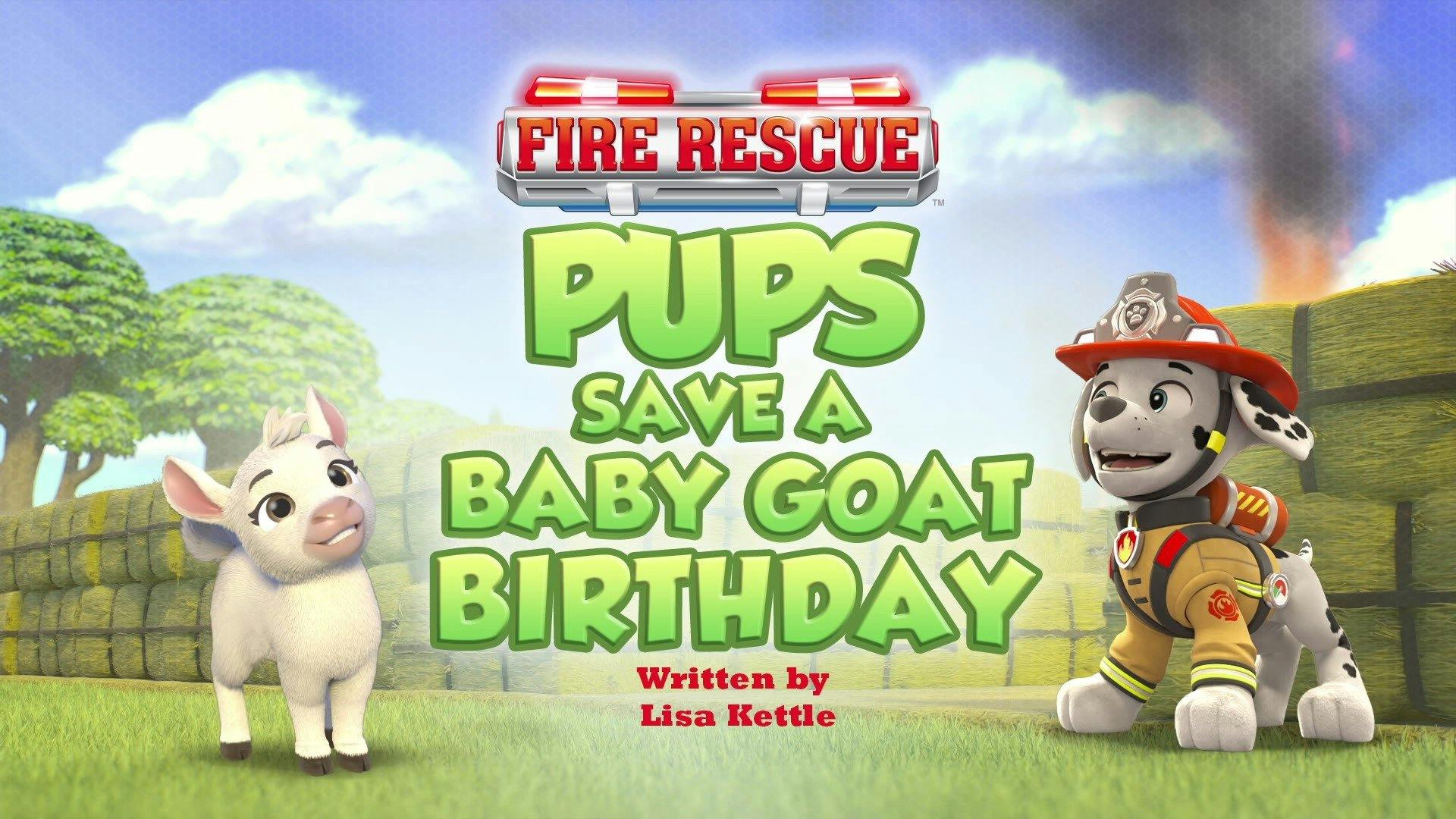 Patrulha Canina: 11×38