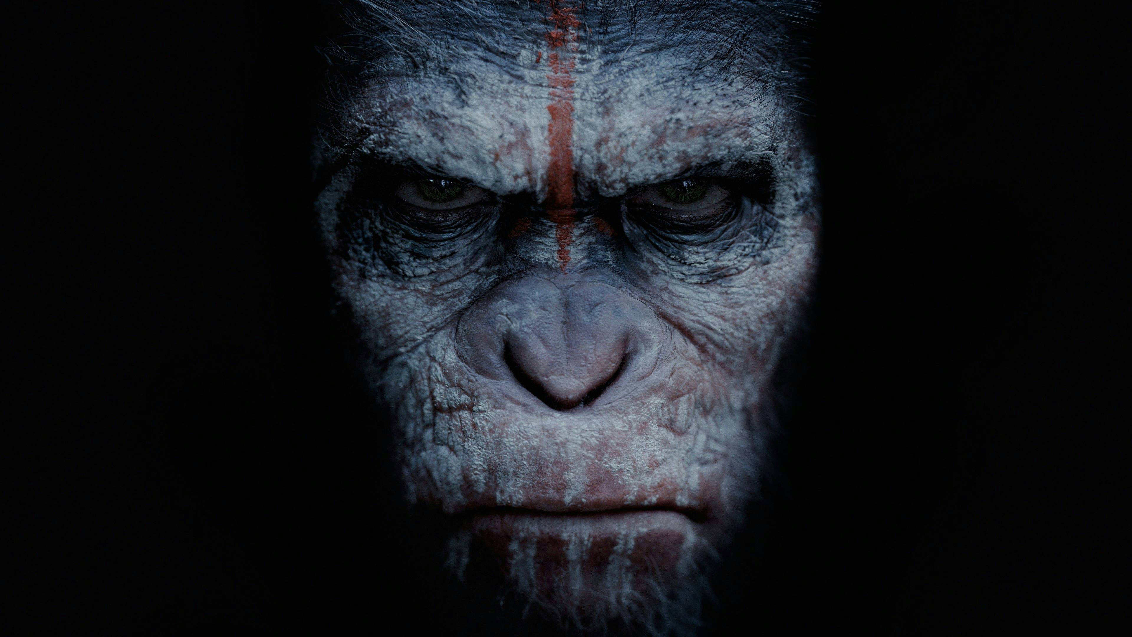Planeta dos Macacos: O Confronto backdrop