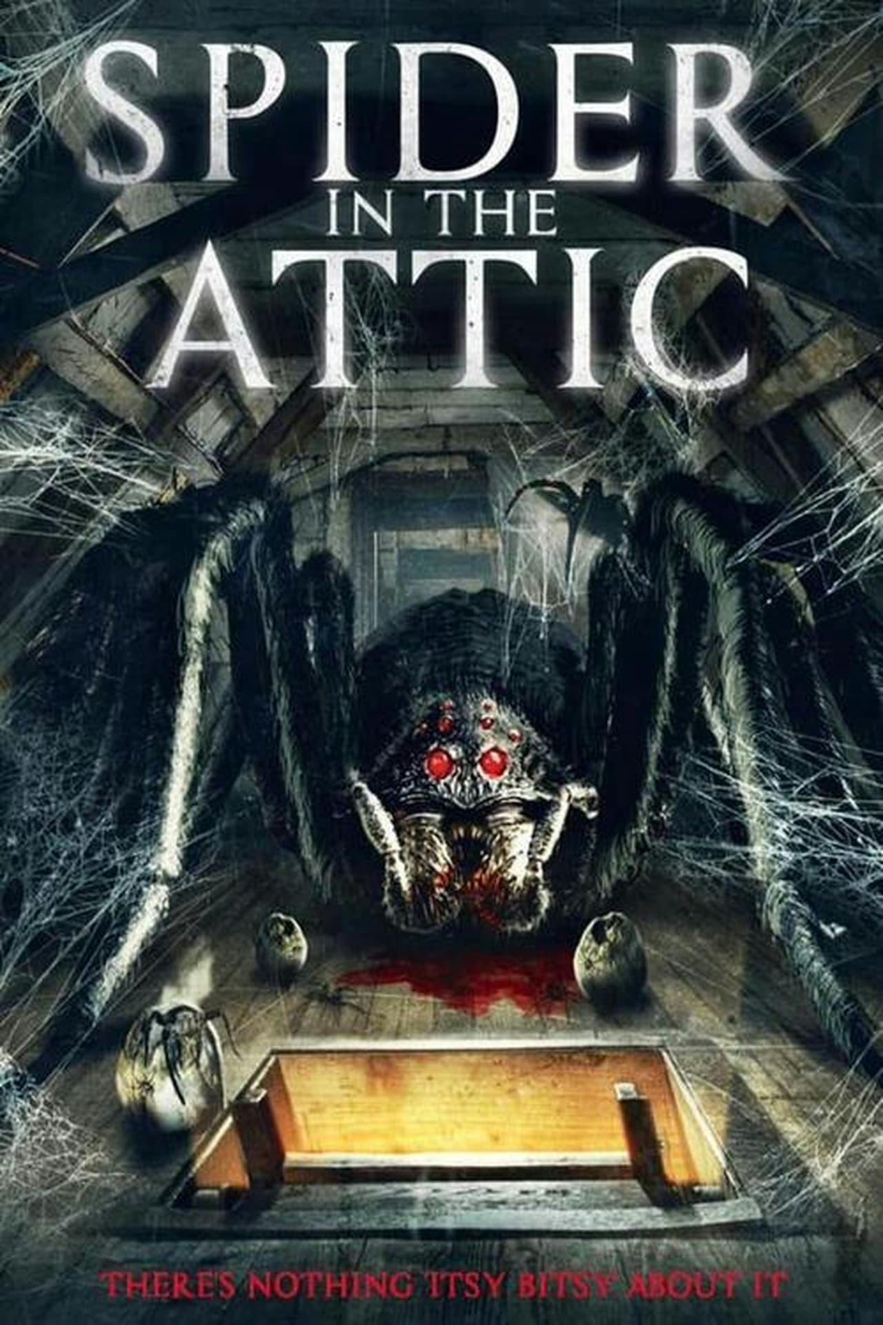 Assistir Spider in the Attic Online em HD