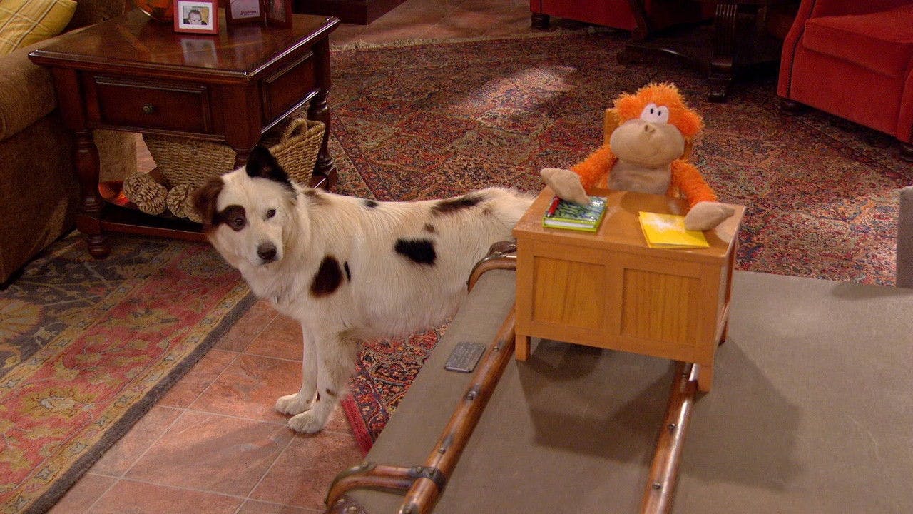 assista ao episódio 19 da temporada 2