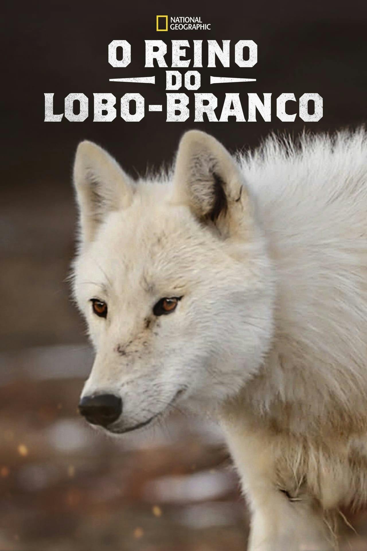 Assistir O Reino do Lobo-Branco Online em HD