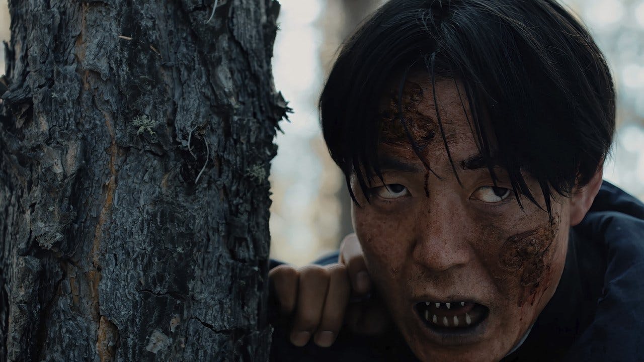 Zona Z assista online