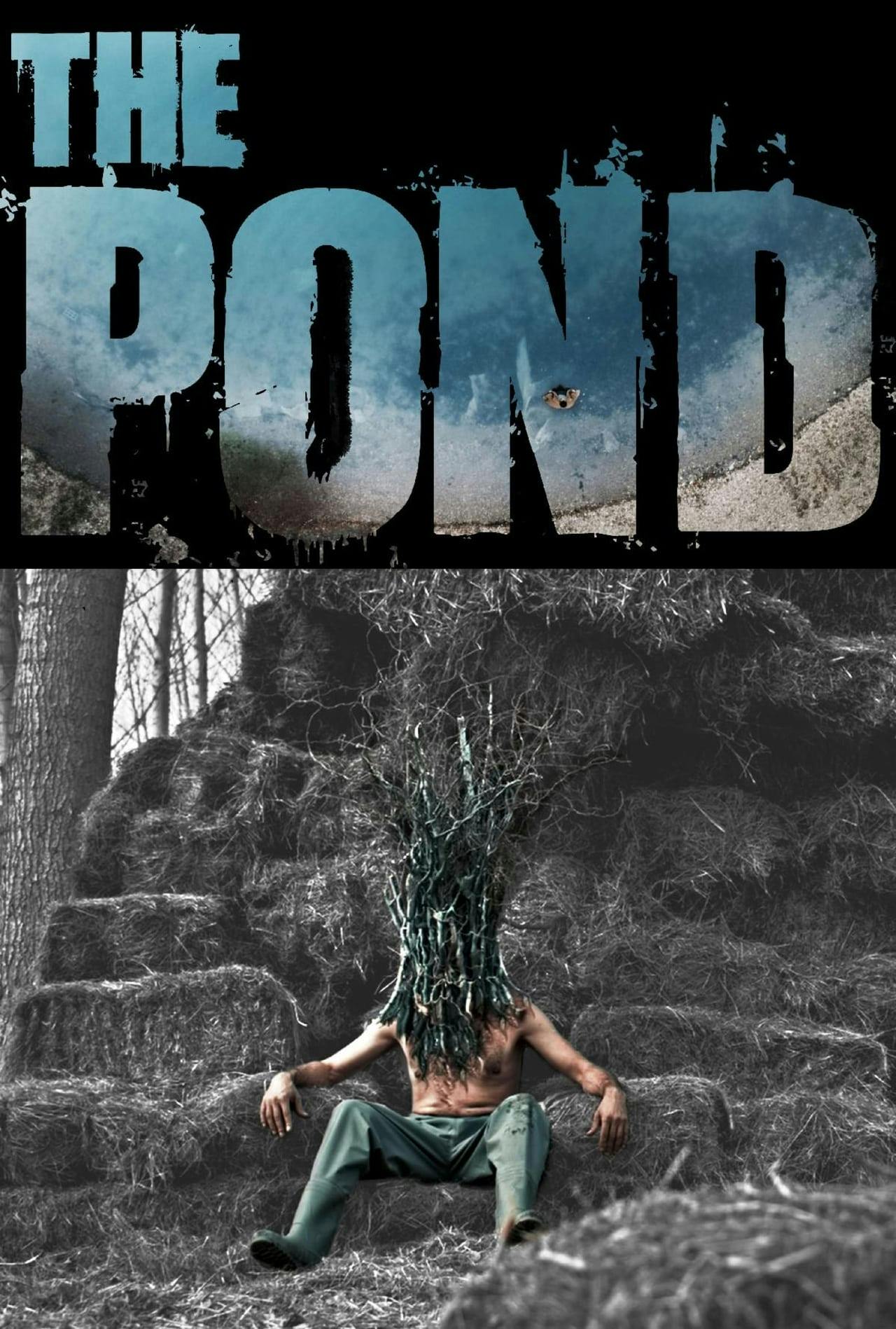 Assistir The Pond Online em HD