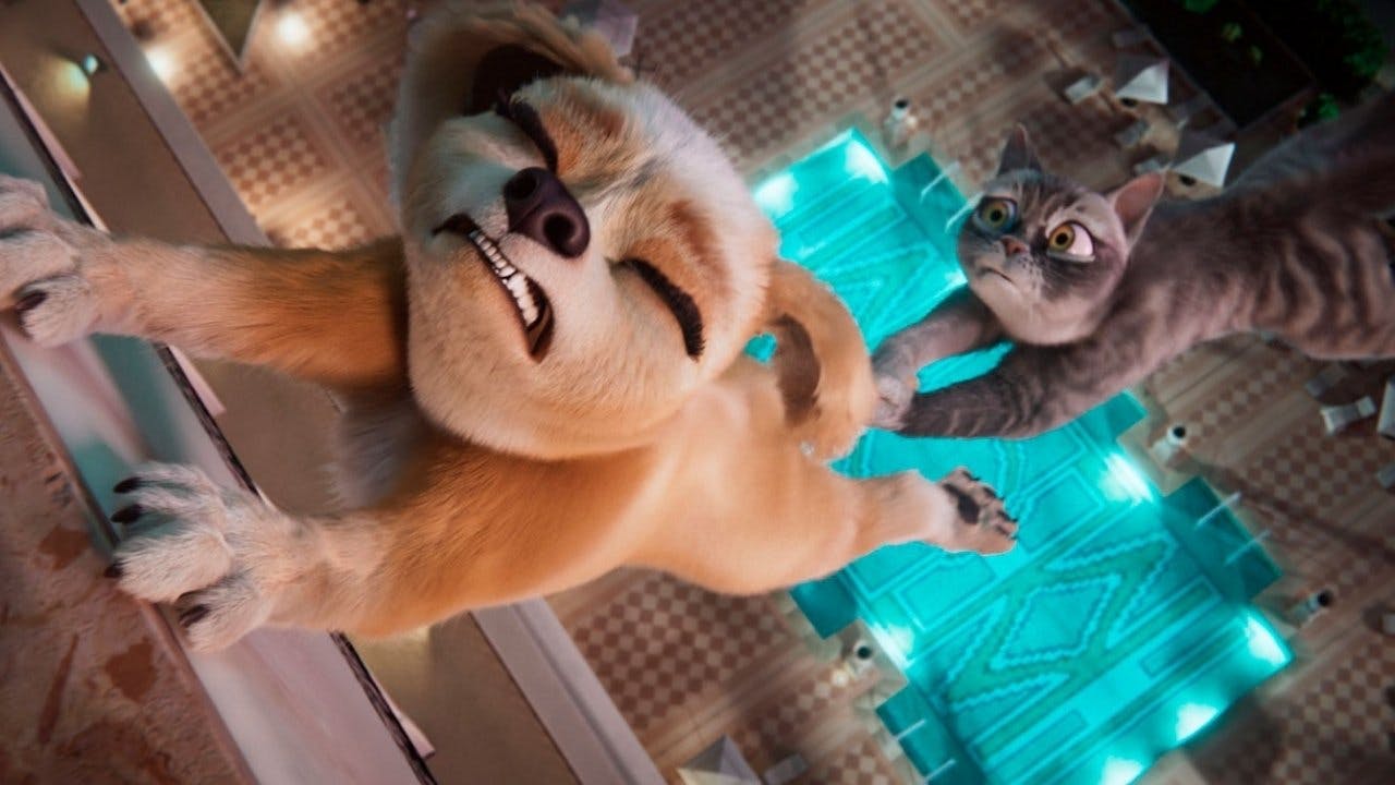 Pets em Ação!