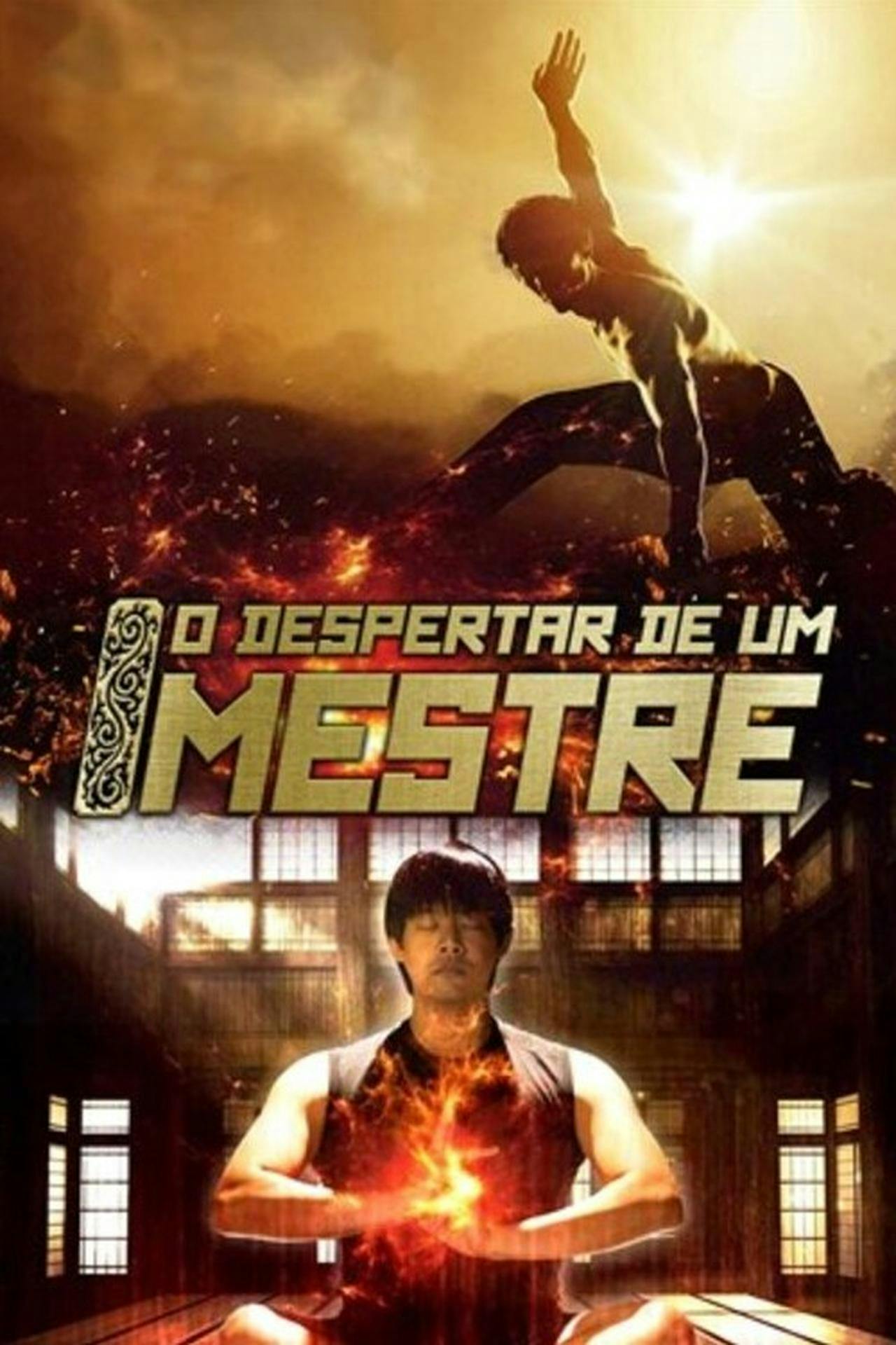 Assistir O Despertar de Um Mestre Online em HD