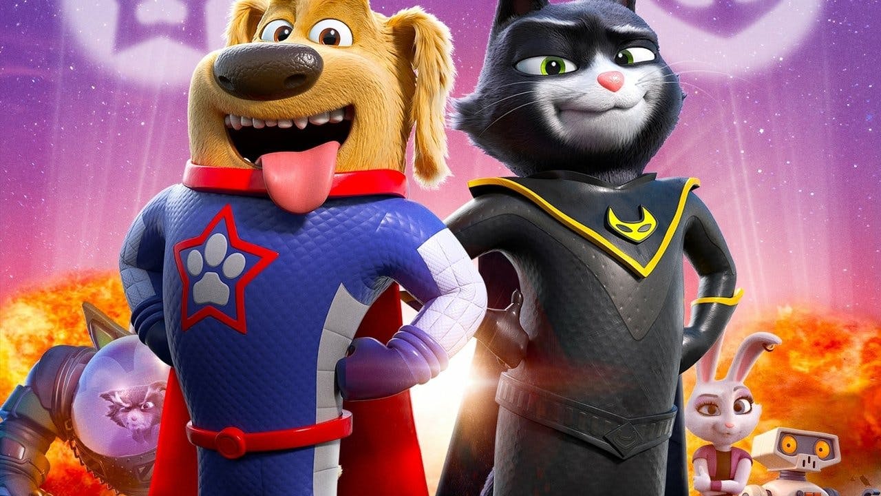 Cão-Estrela E Turbo-Gato