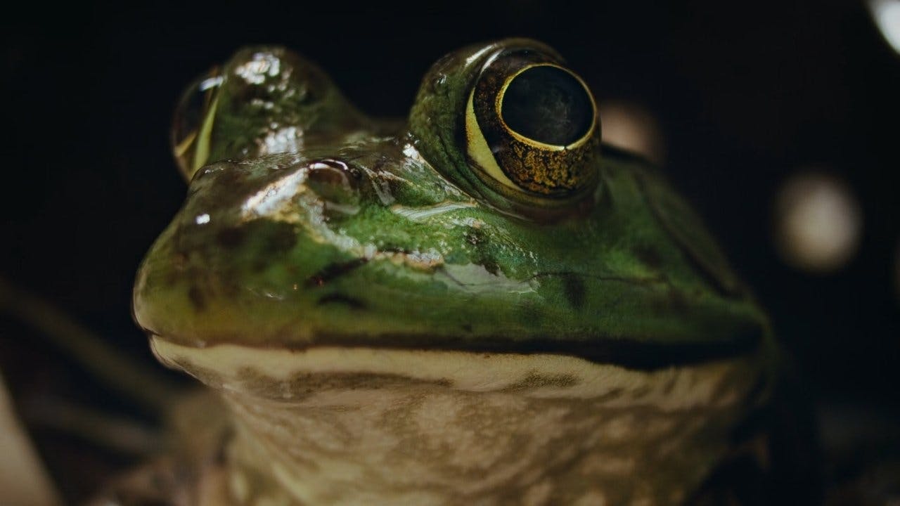 assista ao episódio 2 da temporada 1