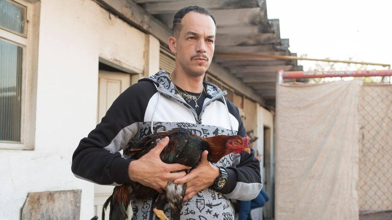 assista ao episódio 3 da temporada 1