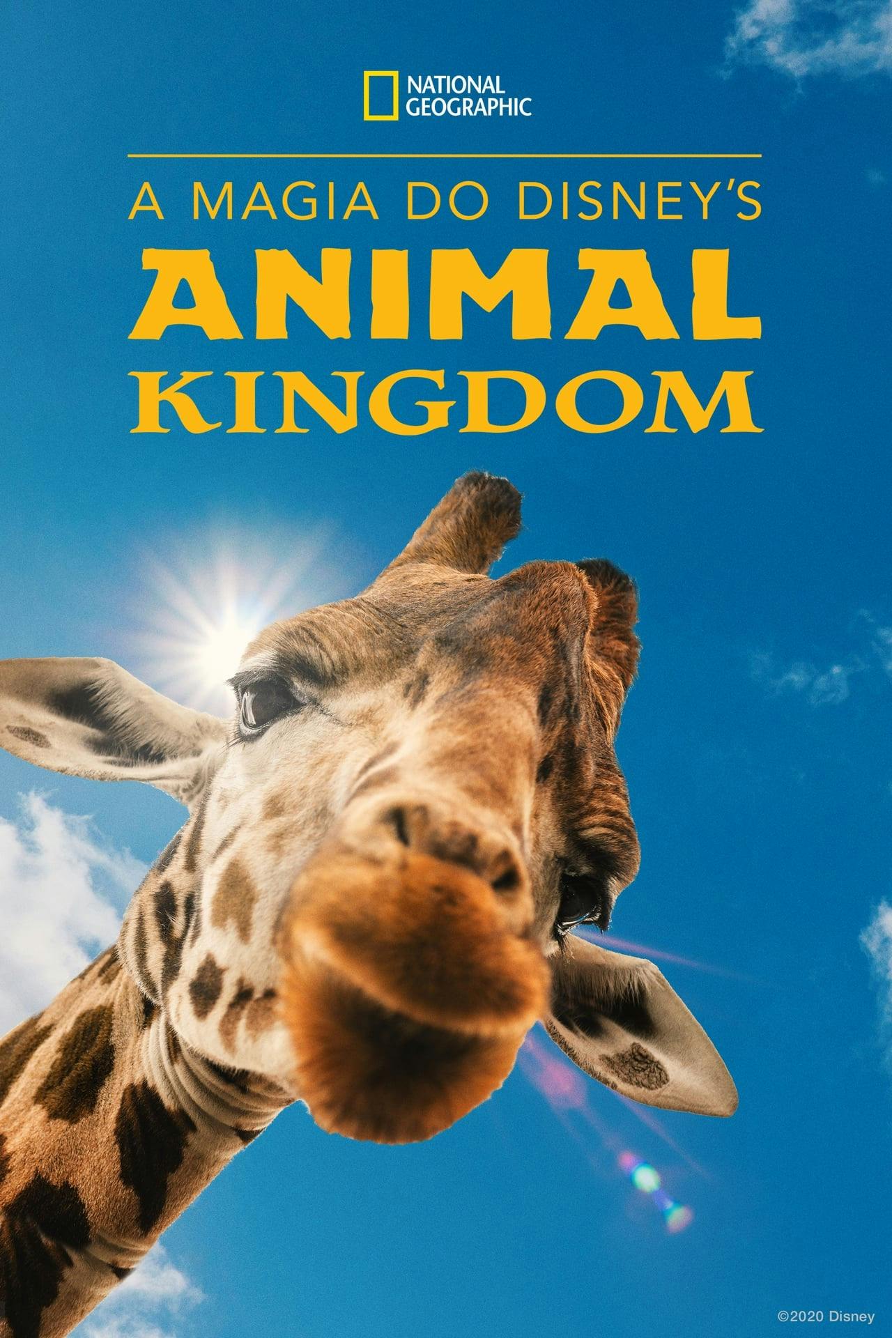 Assistir A Magia do Disney’s Animal Kingdom Online em HD