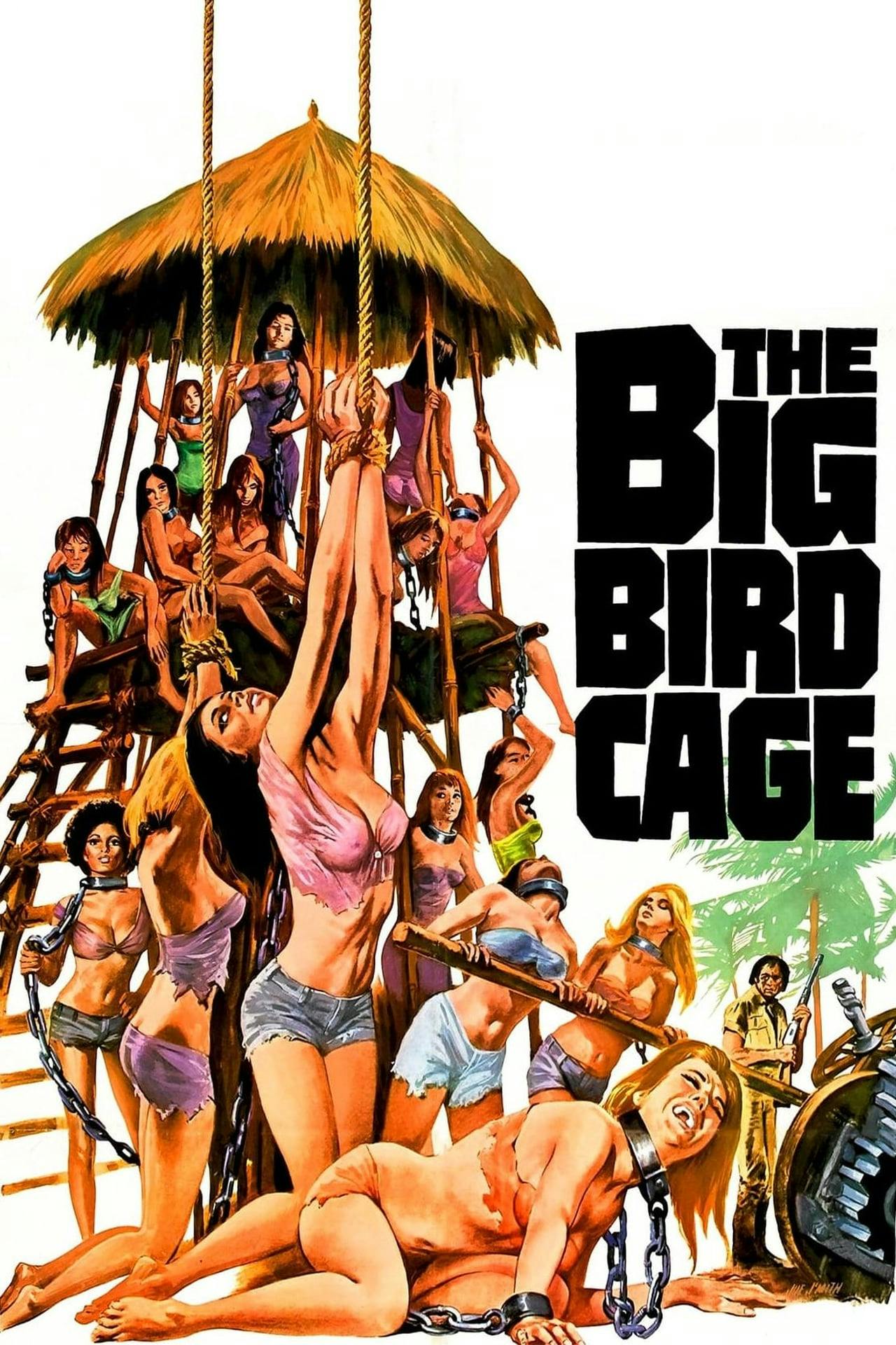 Assistir The Big Bird Cage Online em HD