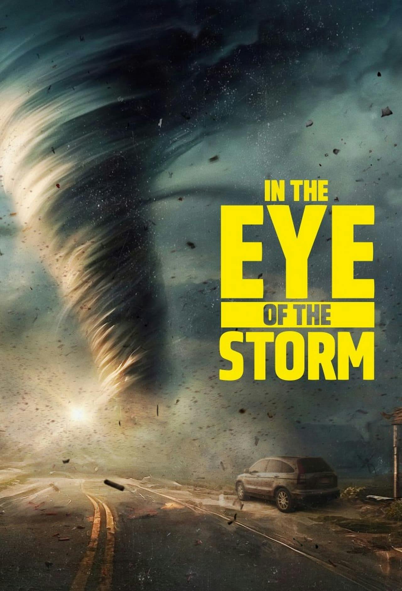 Assistir In the Eye of the Storm Online em HD