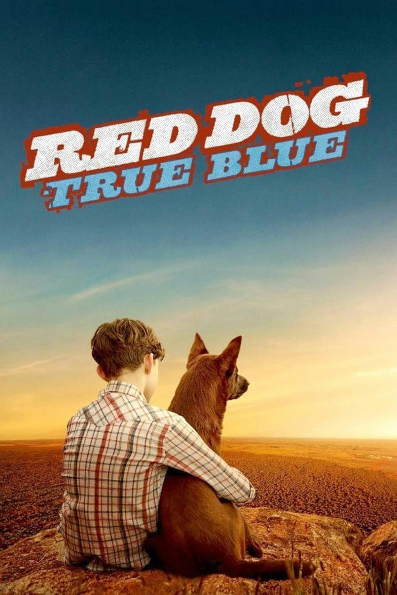 Assistir Cão Vermelho: True Blue Online em HD