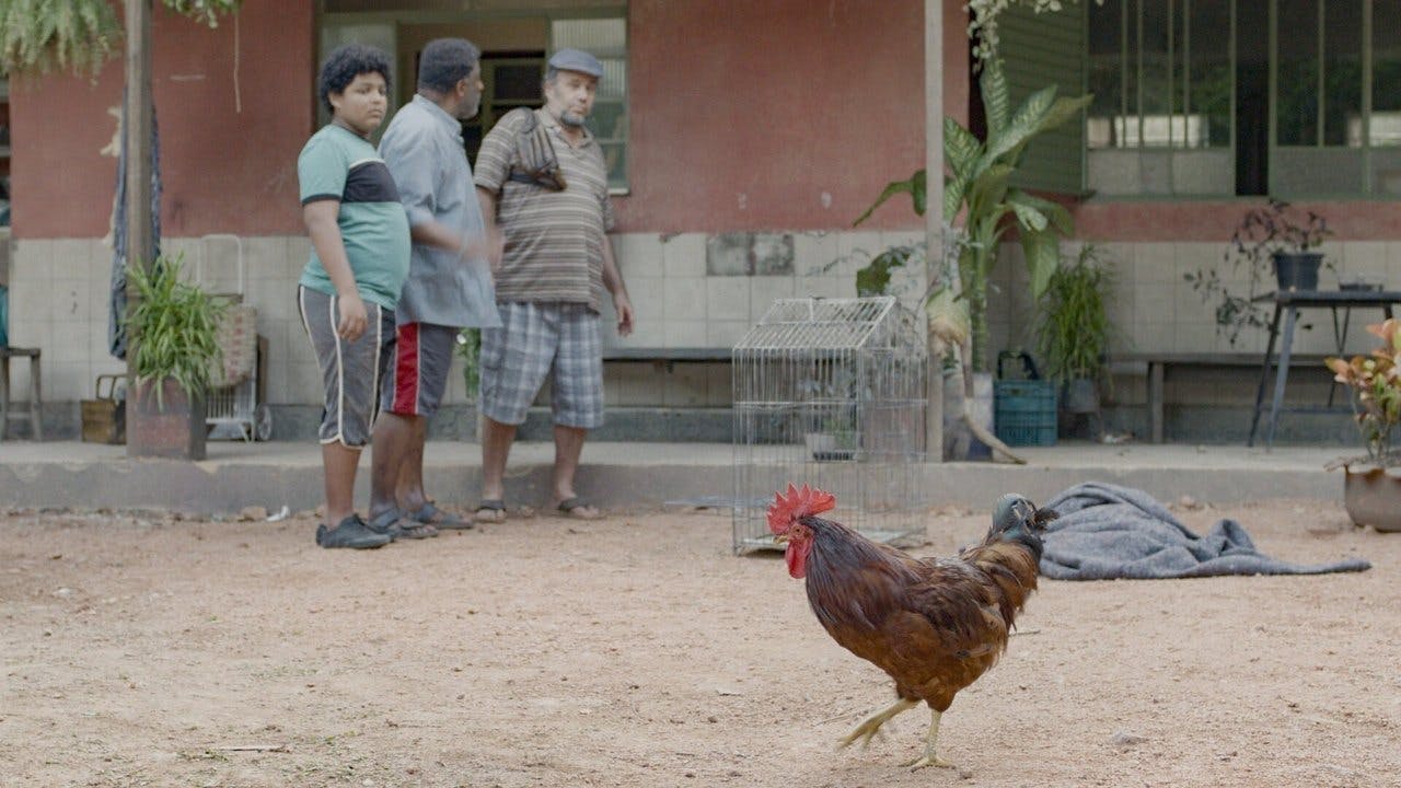 assista ao episódio 5 da temporada 1