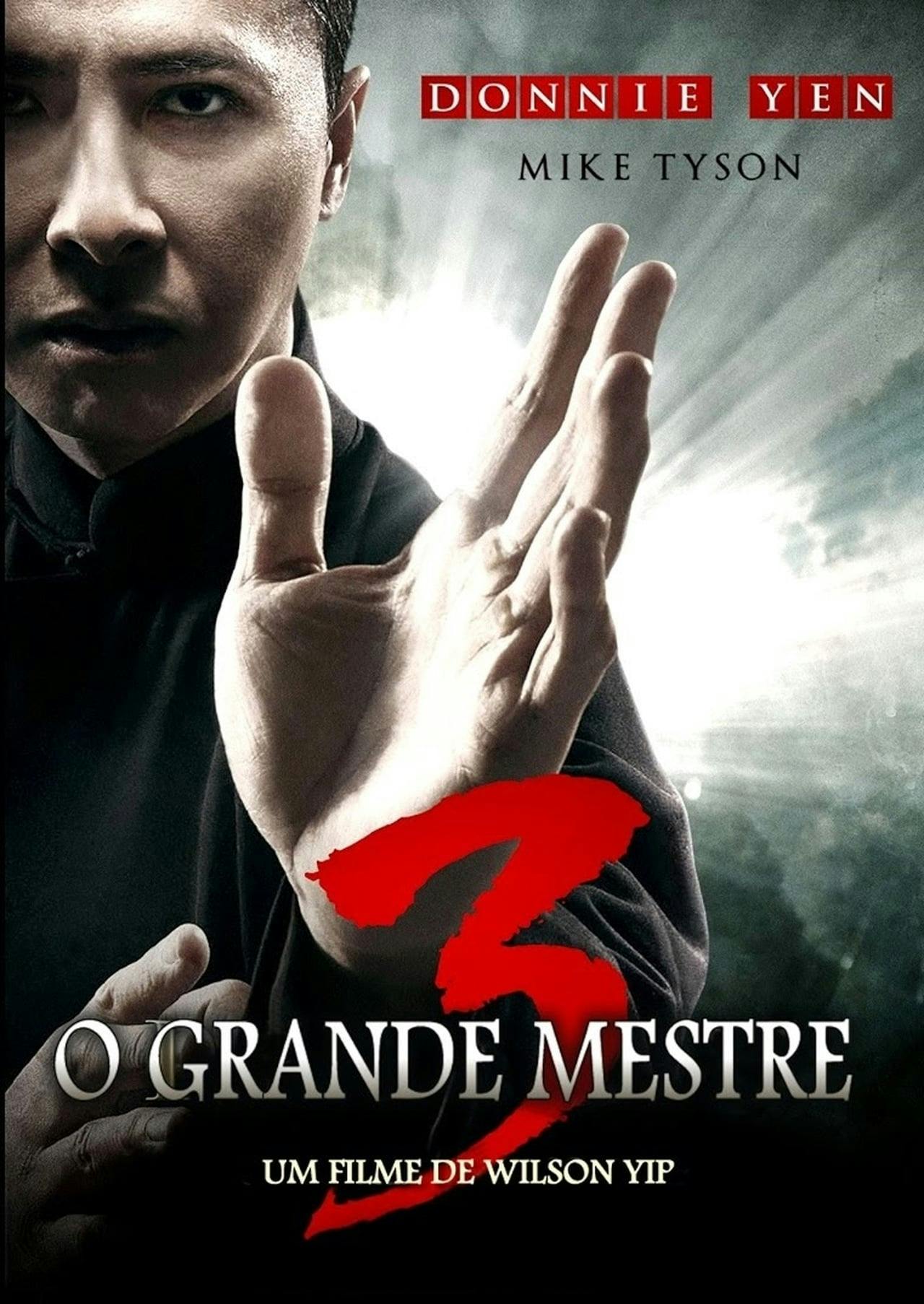 Assistir O Grande Mestre 3 Online em HD