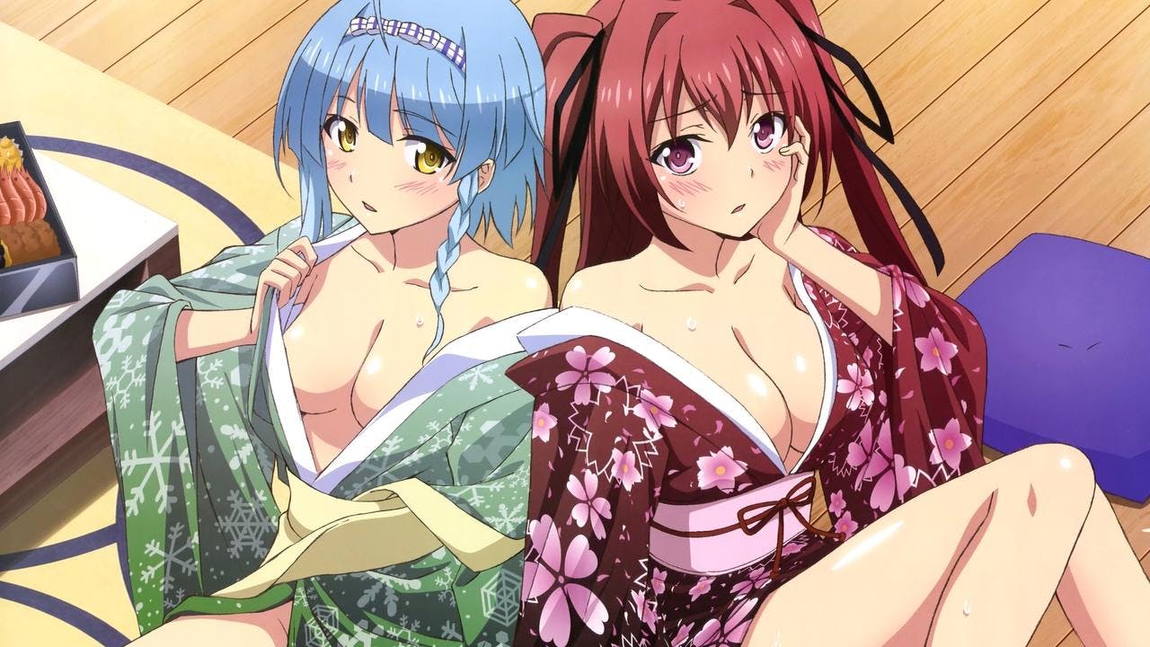 The Testament of Sister New Devil