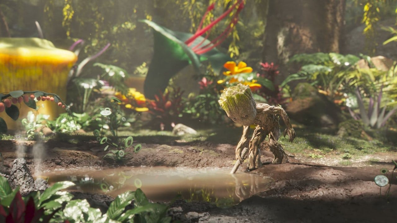 Groot Toma Banho