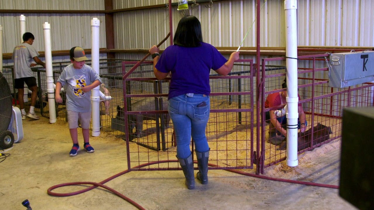 assista ao episódio 1 da temporada 1