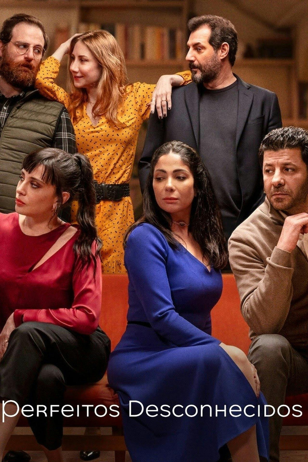Assistir Perfeitos Desconhecidos Online em HD