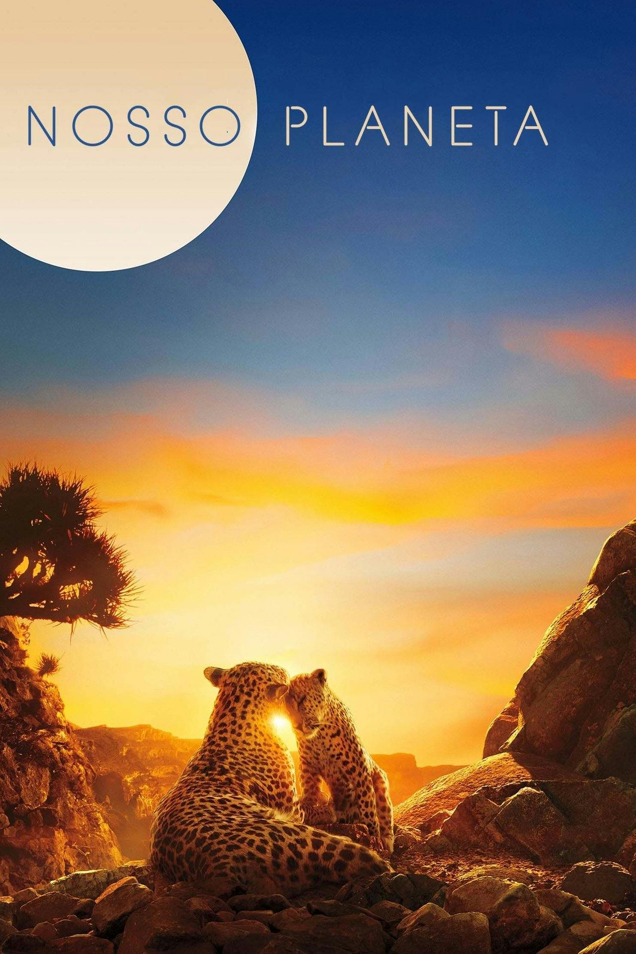 Assistir Nosso Planeta Online em HD