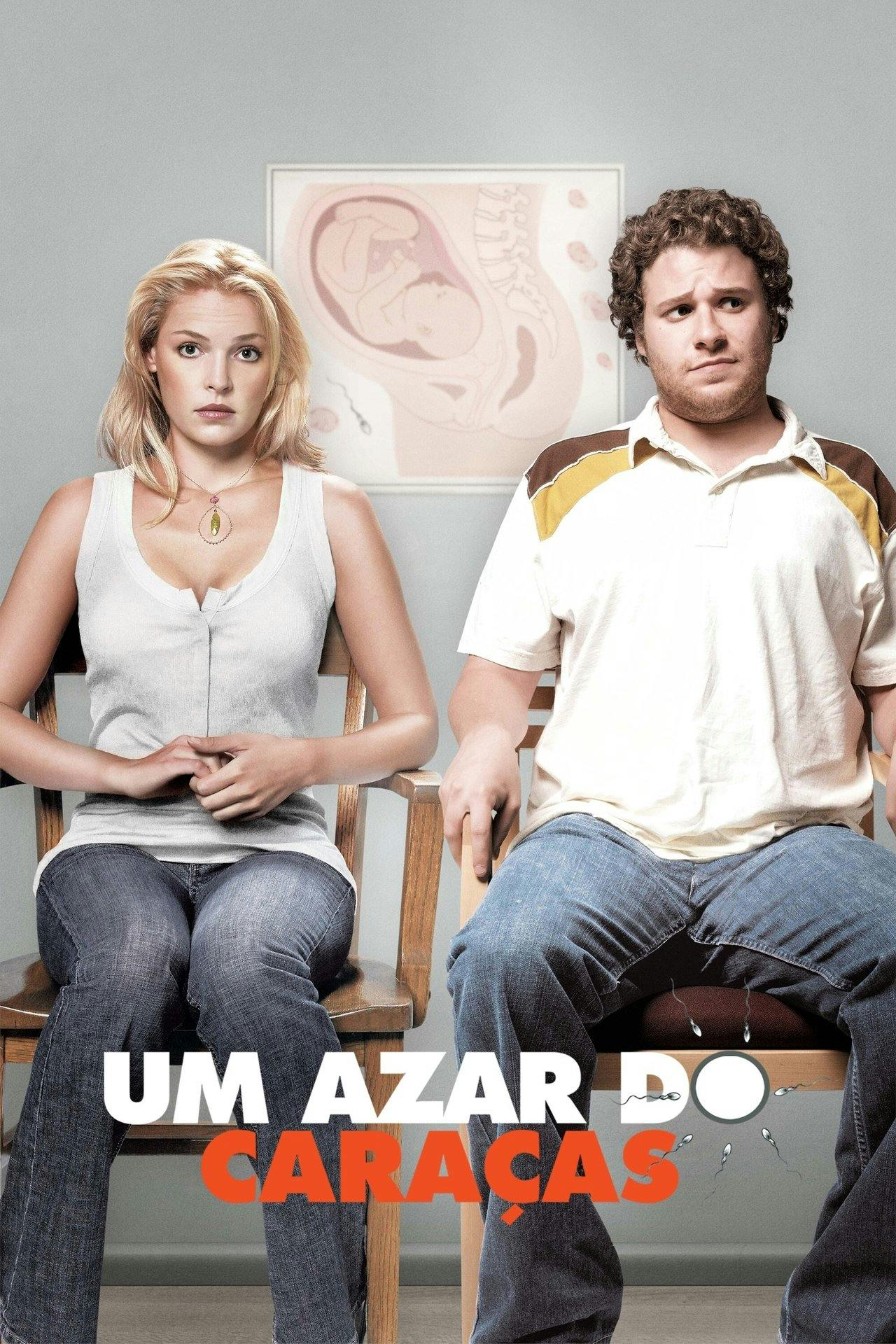 Assistir Ligeiramente Grávidos Online em HD