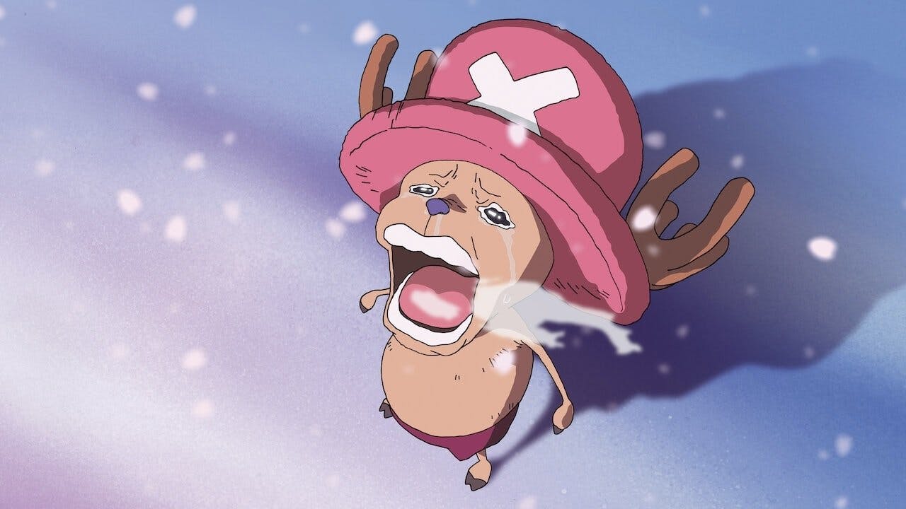 One Piece: Flor do Inverno, Milagre da Cerejeira