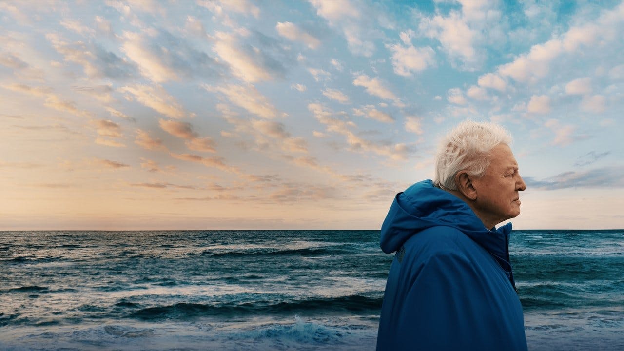 Oceanos com David Attenborough assista online