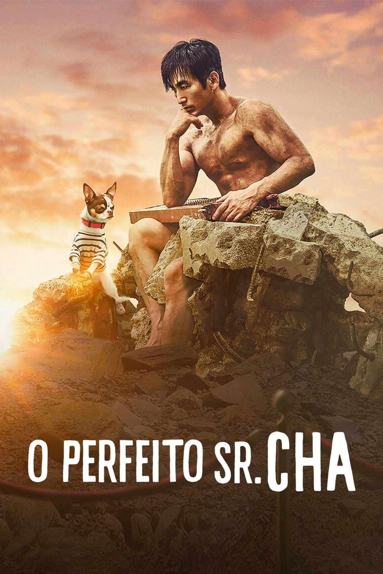 Assistir O Perfeito Sr. Cha Online em HD