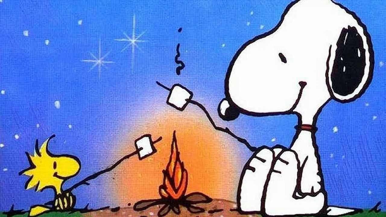 Volte para Casa, Snoopy