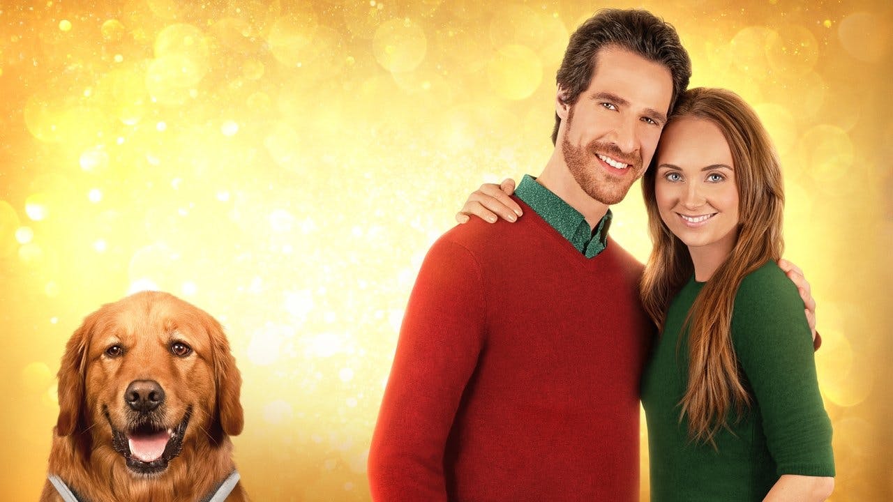 My Christmas Guide assista online