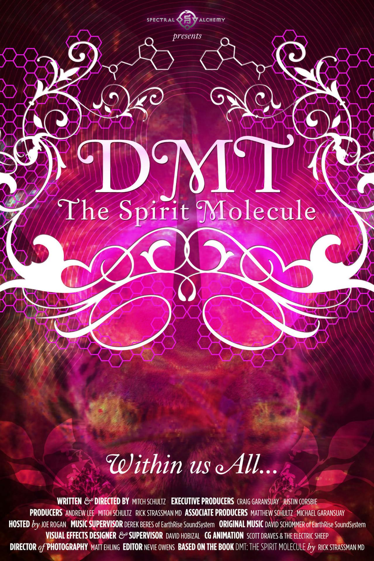 Assistir DMT: The Spirit Molecule Online em HD
