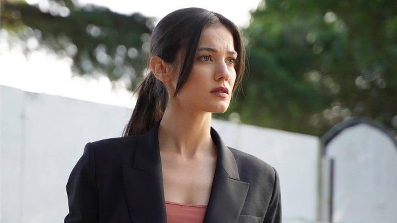 assista ao episódio 33 da temporada 1