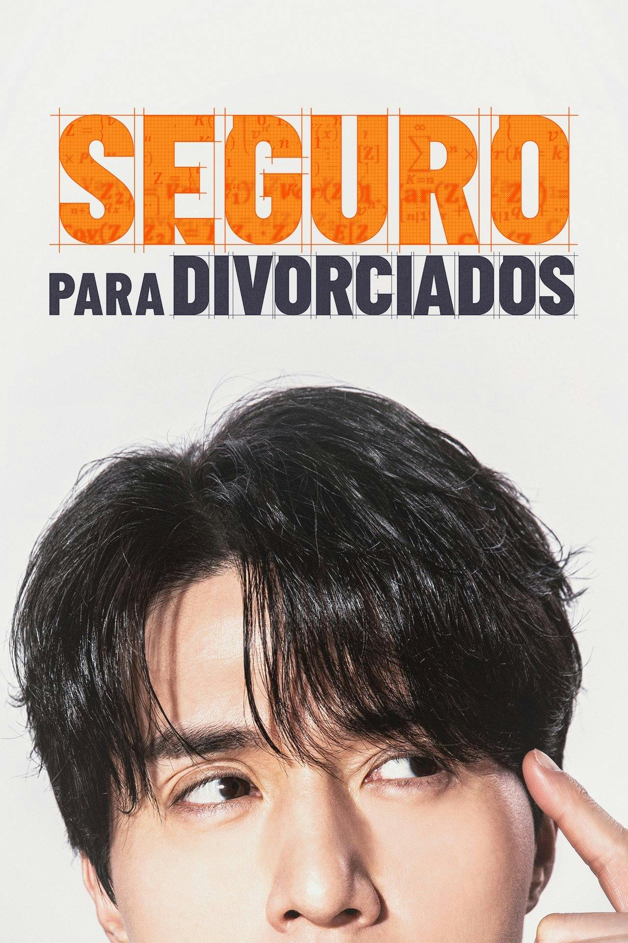 Assistir Seguro para Divorciados Online em HD