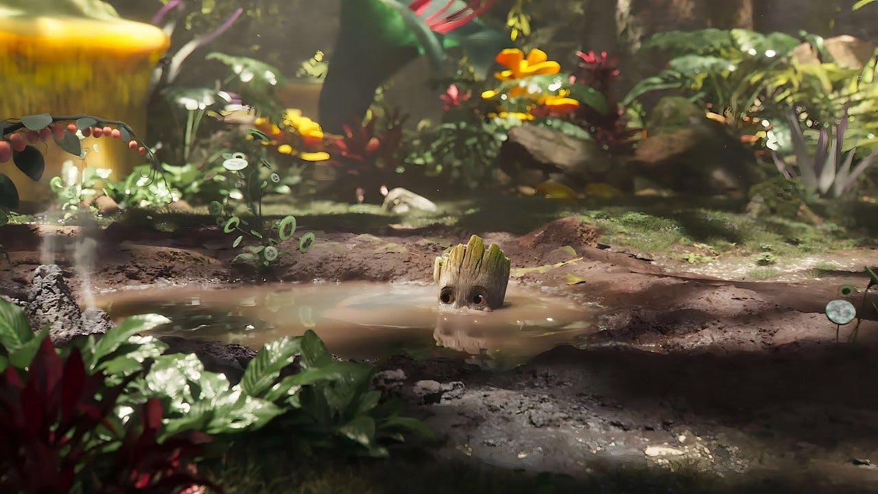 Groot Toma Banho
