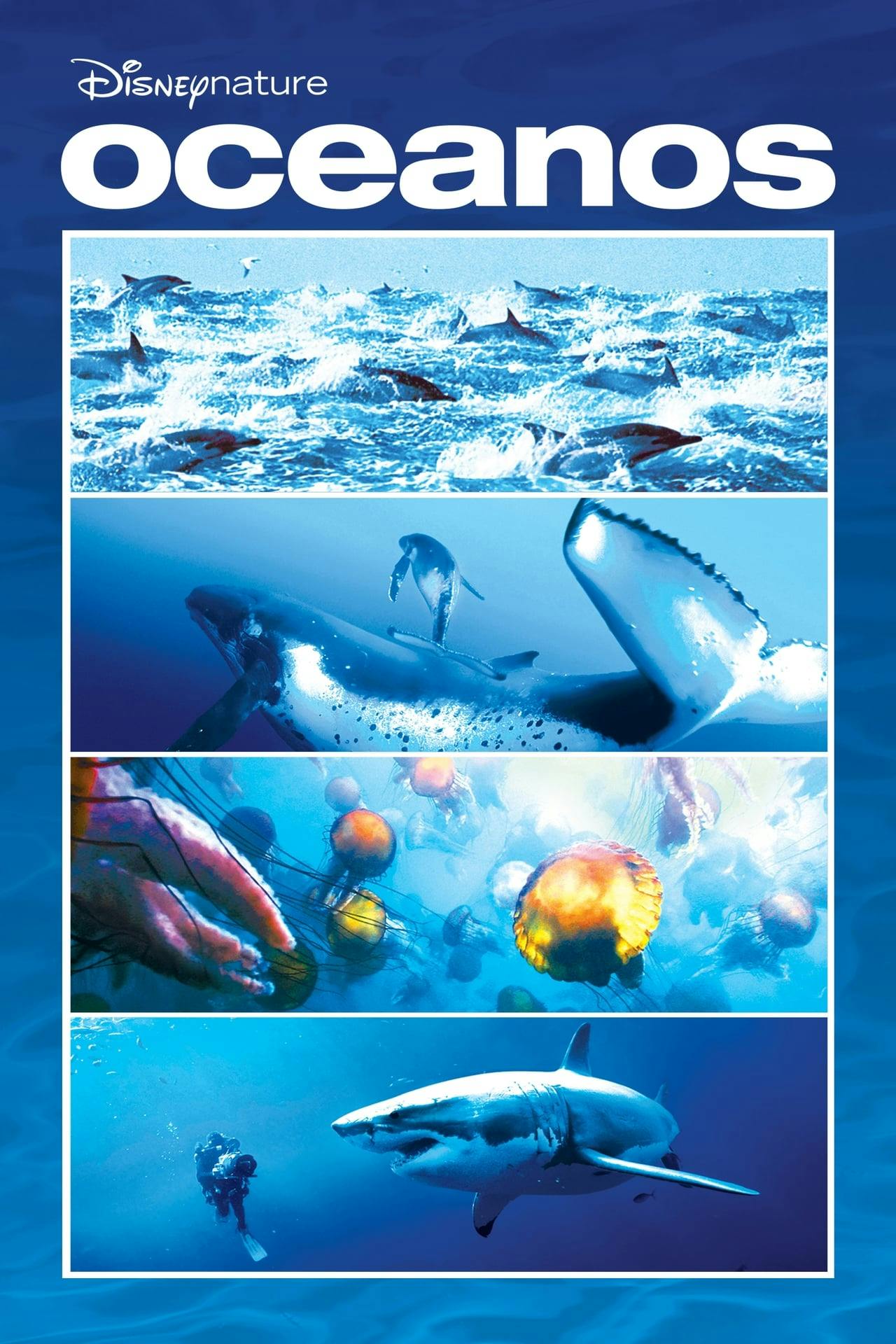 Assistir Oceanos Online em HD