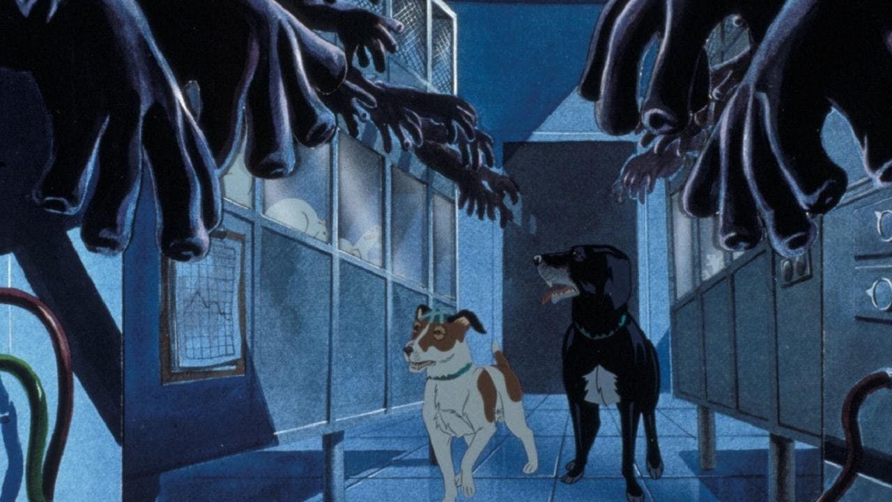 Os Cães Plagueados