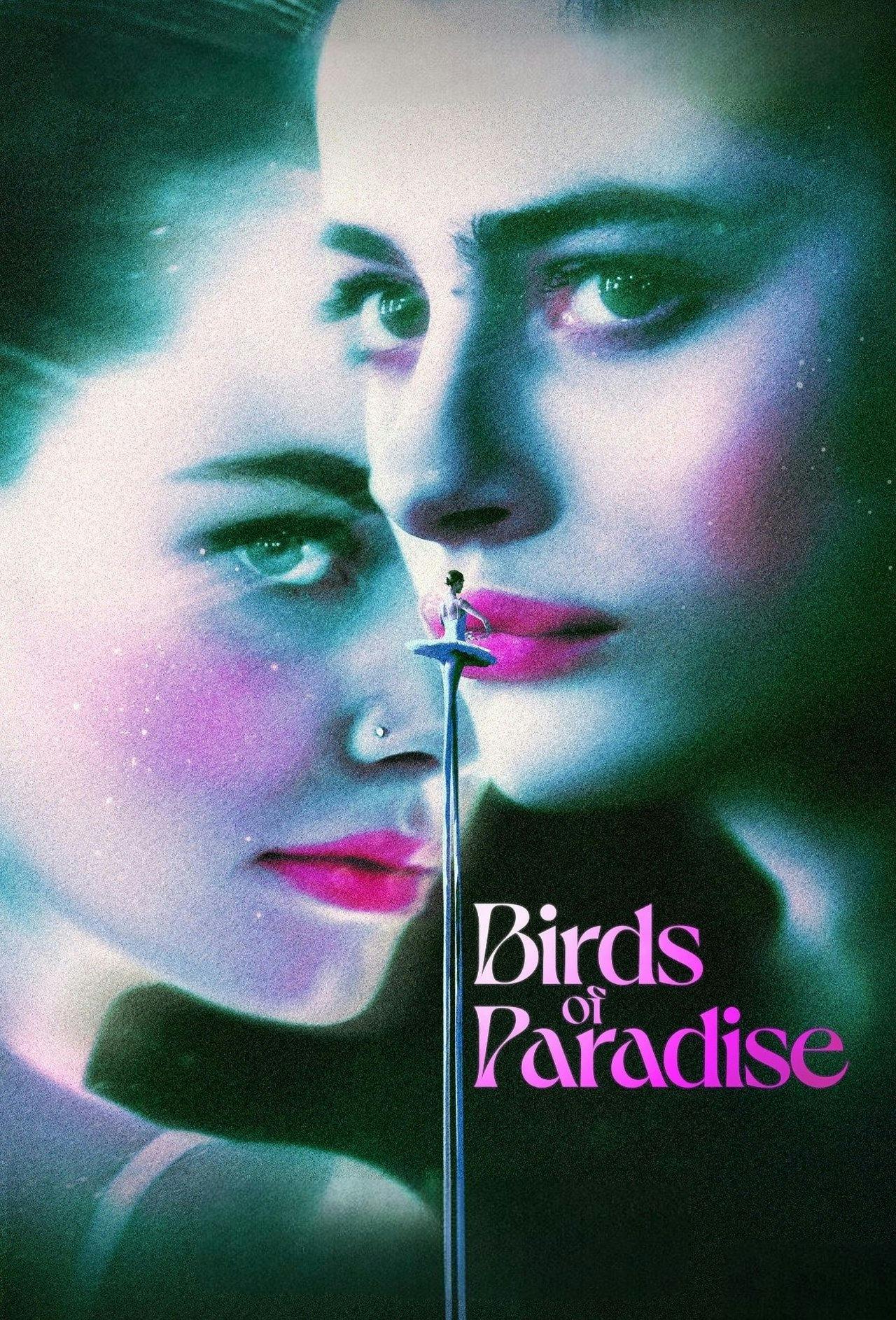 Assistir Pássaros de Liberdade Online em HD
