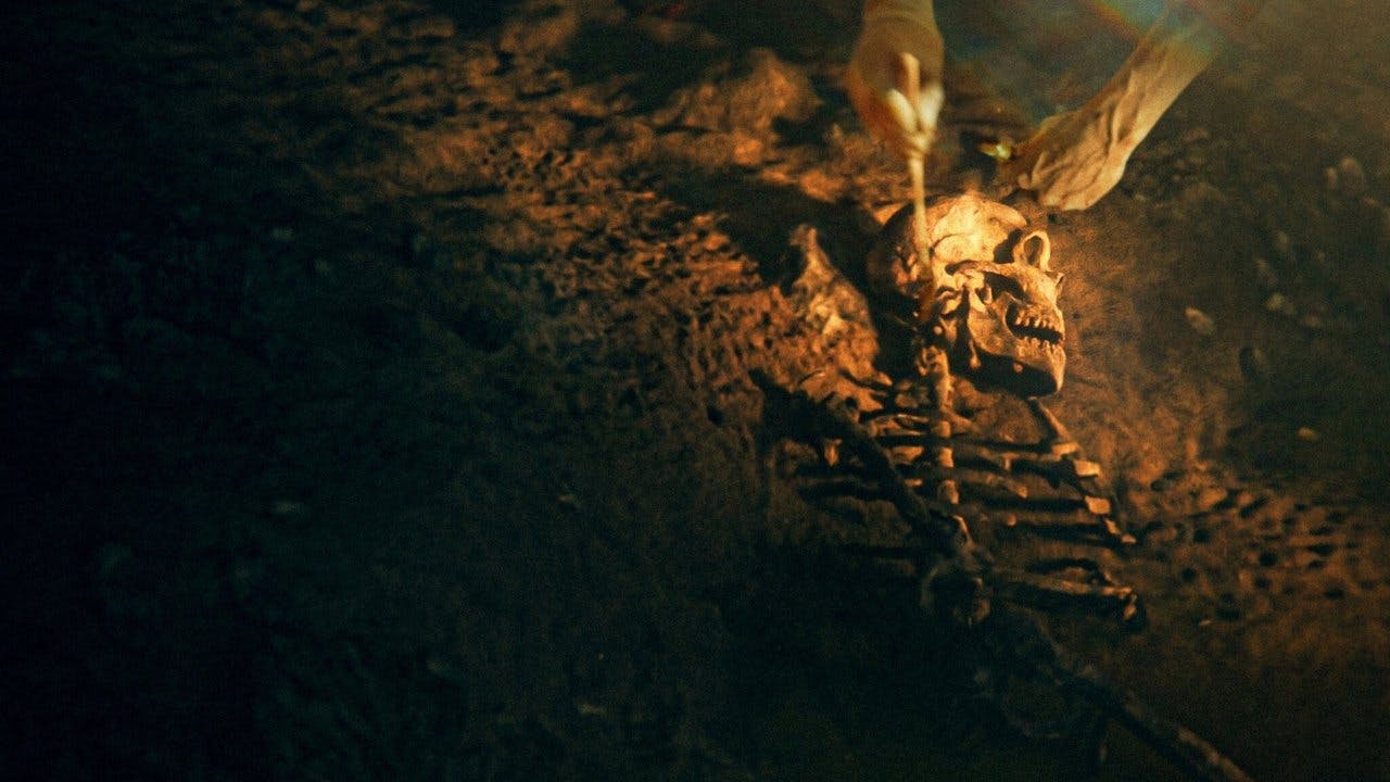 Os Segredos dos Neandertais assista online