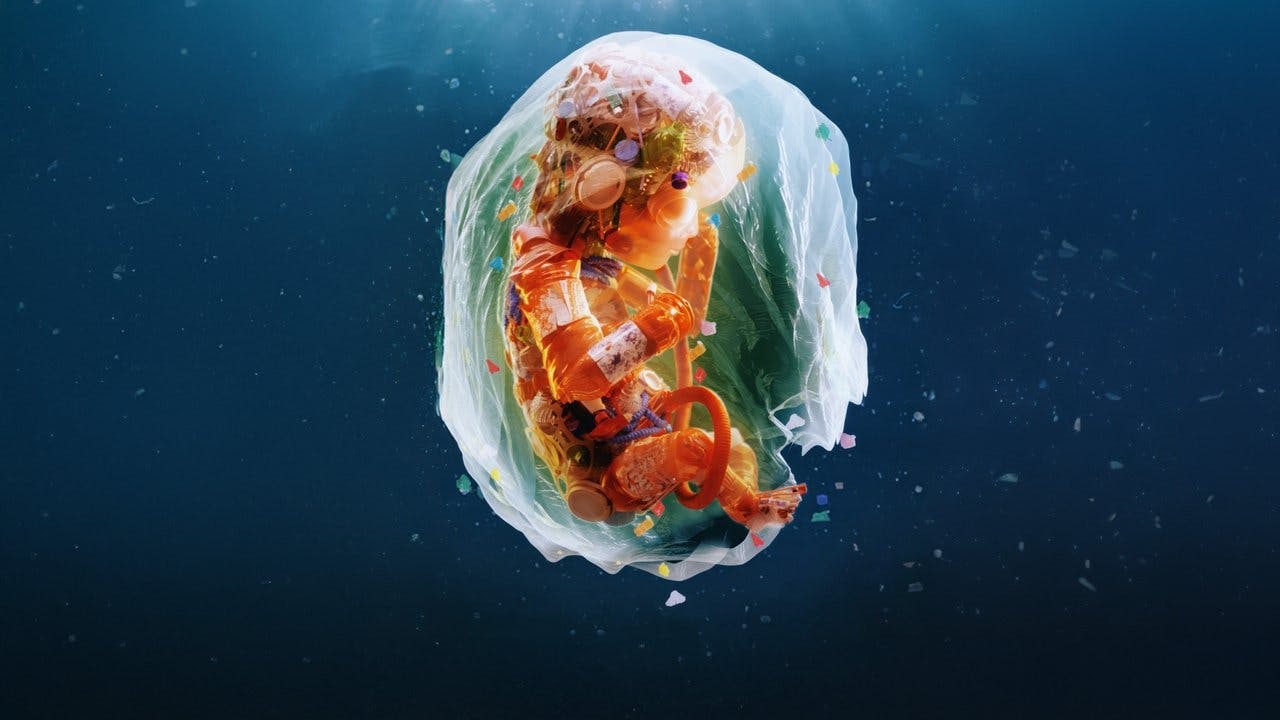 Feitos de Plástico assista online